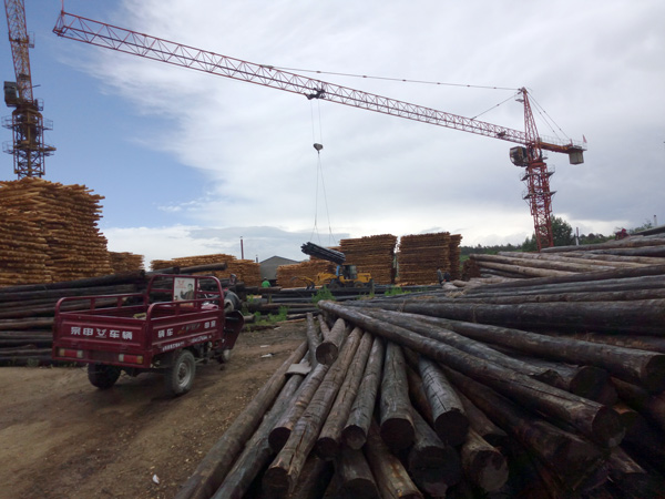 防腐油木桿、防腐油炸桿8